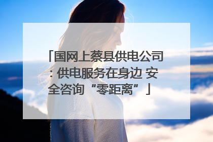 国网上蔡县供电公司：供电服务在身边 安全咨询“零距离”