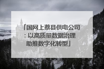 国网上蔡县供电公司：以高质量数据治理 助推数字化转型