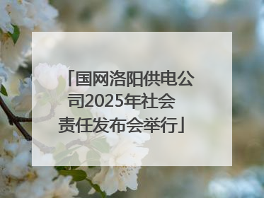 国网洛阳供电公司2025年社会责任发布会举行
