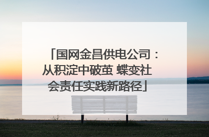 国网金昌供电公司：从积淀中破茧 蝶变社会责任实践新路径