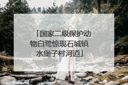国家二级保护动物白鹭惊现石城镇水堡子村河道
