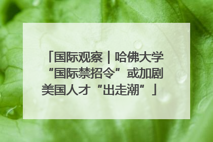 国际观察｜哈佛大学“国际禁招令”或加剧美国人才“出走潮”