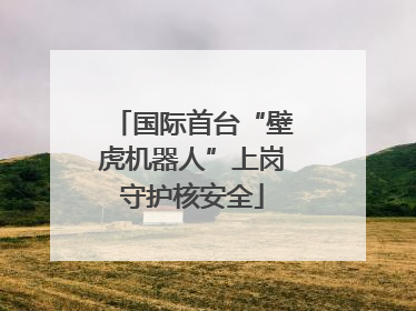 国际首台“壁虎机器人”上岗守护核安全