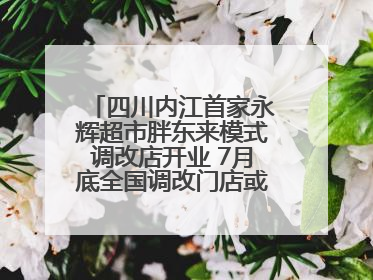 四川内江首家永辉超市胖东来模式调改店开业 7月底全国调改门店或将突破150家丨新经济观察