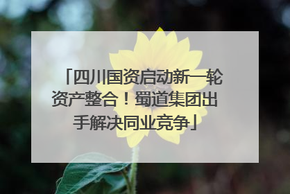 四川国资启动新一轮资产整合！蜀道集团出手解决同业竞争