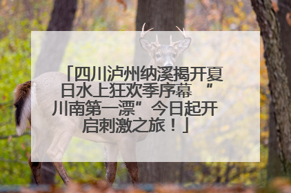 四川泸州纳溪揭开夏日水上狂欢季序幕 “川南第一漂”今日起开启刺激之旅！