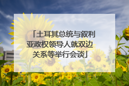 土耳其总统与叙利亚政权领导人就双边关系等举行会谈