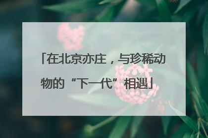 在北京亦庄，与珍稀动物的“下一代”相遇