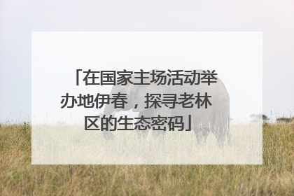 在国家主场活动举办地伊春，探寻老林区的生态密码