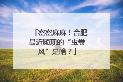 密密麻麻！合肥最近频现的“虫卷风”是啥？