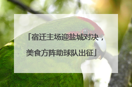 宿迁主场迎盐城对决，美食方阵助球队出征