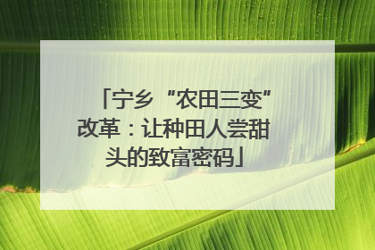 宁乡“农田三变”改革：让种田人尝甜头的致富密码