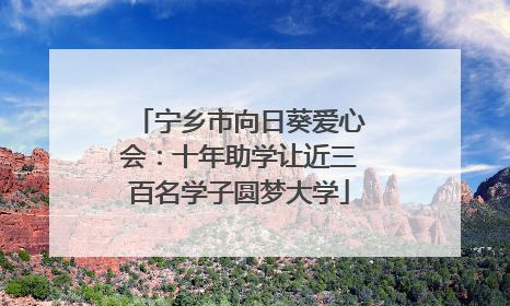 宁乡市向日葵爱心会：十年助学让近三百名学子圆梦大学