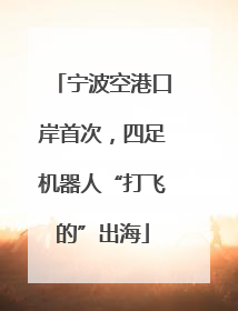 宁波空港口岸首次，四足机器人“打飞的”出海