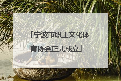 宁波市职工文化体育协会正式成立