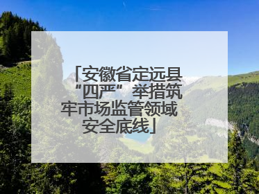 安徽省定远县“四严”举措筑牢市场监管领域安全底线
