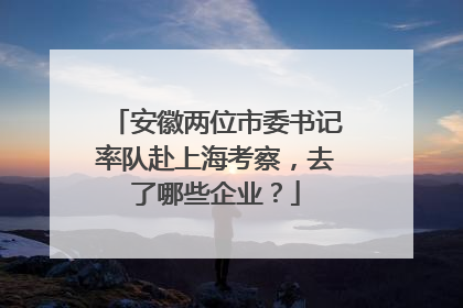 安徽两位市委书记率队赴上海考察，去了哪些企业？