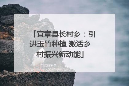 宜章县长村乡：引进玉竹种植 激活乡村振兴新动能