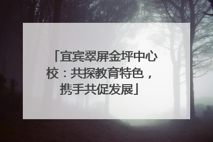 宜宾翠屏金坪中心校：共探教育特色，携手共促发展