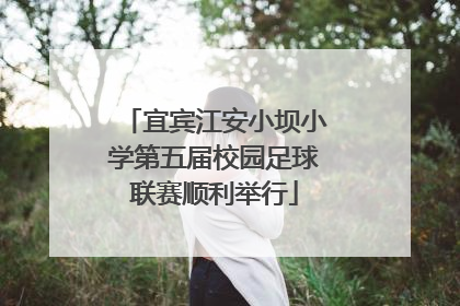 宜宾江安小坝小学第五届校园足球联赛顺利举行