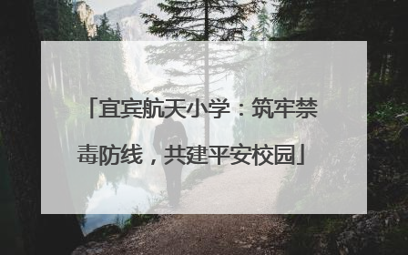 宜宾航天小学：筑牢禁毒防线，共建平安校园