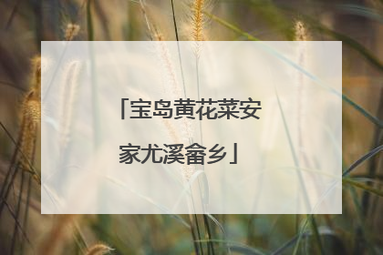 宝岛黄花菜安家尤溪畲乡