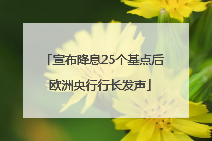 宣布降息25个基点后 欧洲央行行长发声