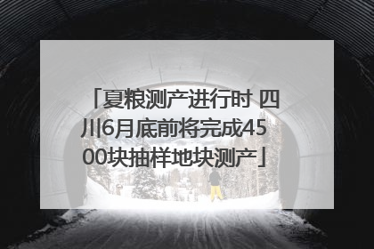夏粮测产进行时 四川6月底前将完成4500块抽样地块测产