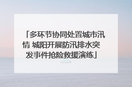 多环节协同处置城市汛情 城阳开展防汛排水突发事件抢险救援演练