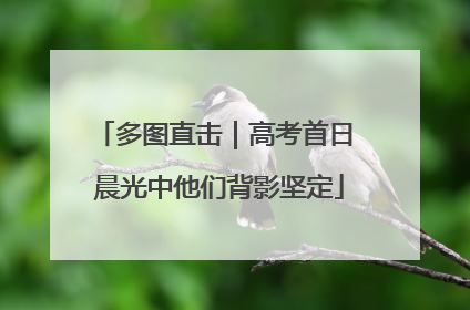 多图直击｜高考首日 晨光中他们背影坚定