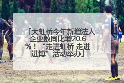 大虹桥今年新增法人企业数同比增20.6%！“走进虹桥 走进进博”活动举办