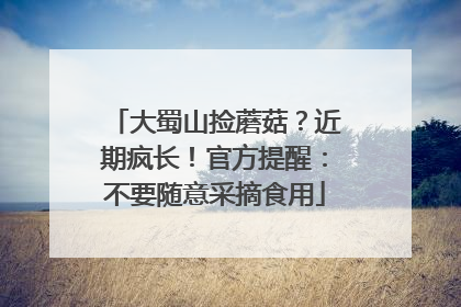 大蜀山捡蘑菇？近期疯长！官方提醒：不要随意采摘食用