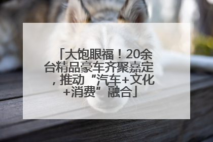 大饱眼福！20余台精品豪车齐聚嘉定，推动“汽车+文化+消费”融合