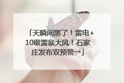 天瞬间黑了！雷电+10级雷暴大风！石家庄发布双预警→