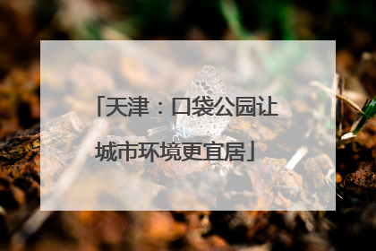 天津：口袋公园让城市环境更宜居