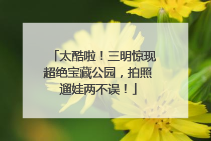 太酷啦！三明惊现超绝宝藏公园，拍照遛娃两不误！