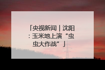 央视新闻｜沈阳：玉米地上演“虫虫大作战”