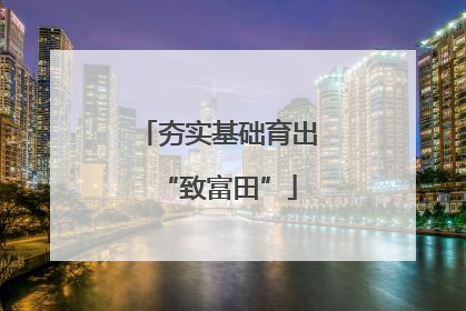 夯实基础育出“致富田”