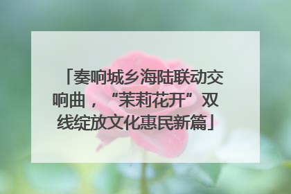 奏响城乡海陆联动交响曲，“茉莉花开”双线绽放文化惠民新篇