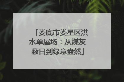 娄底市娄星区洪水单屋场：从煤灰蔽日到绿意盎然