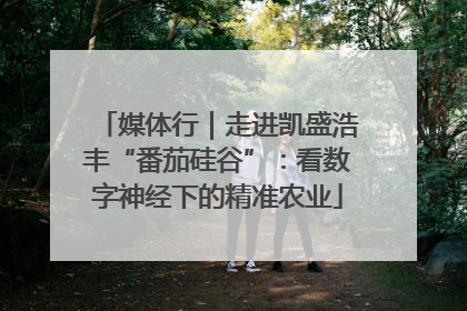 媒体行｜走进凯盛浩丰“番茄硅谷”：看数字神经下的精准农业