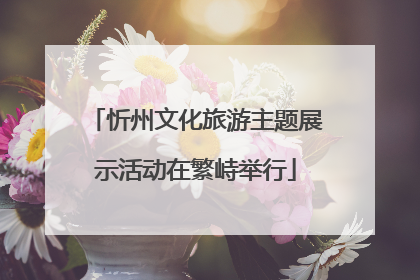 忻州文化旅游主题展示活动在繁峙举行