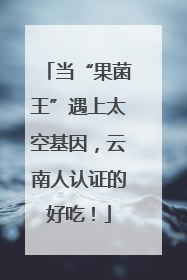 当“果菌王”遇上太空基因，云南人认证的好吃！