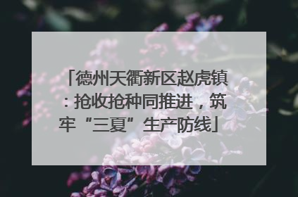 德州天衢新区赵虎镇：抢收抢种同推进，筑牢“三夏”生产防线