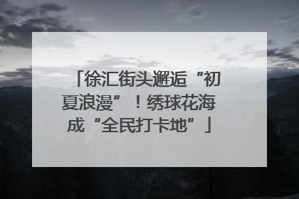 徐汇街头邂逅“初夏浪漫”！绣球花海成“全民打卡地”