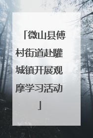 微山县傅村街道赴驩城镇开展观摩学习活动