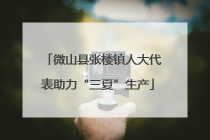 微山县张楼镇人大代表助力“三夏”生产