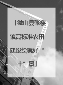微山县张楼镇高标准农田建设绘就好“丰”景