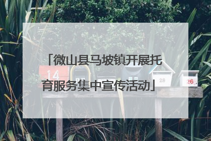 微山县马坡镇开展托育服务集中宣传活动