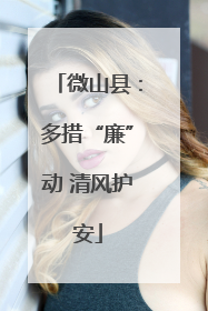 微山县：多措“廉”动 清风护安